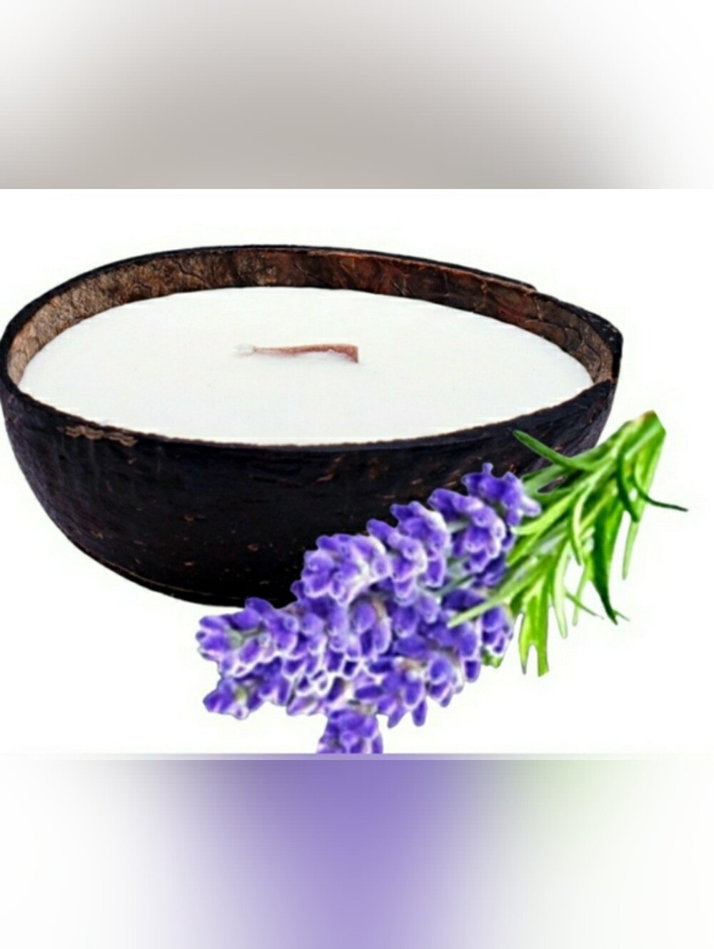 Hawaiian KULA LAVENDER Soy Candle in Real Coconut Shell,Tropical Beach Theme,5oz